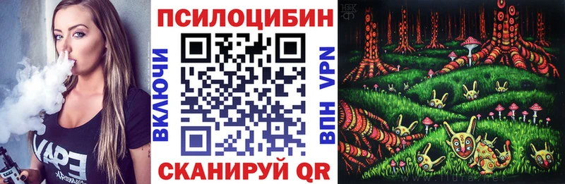 Галлюциногенные грибы Psilocybe  кракен   Гремячинск  хочу  